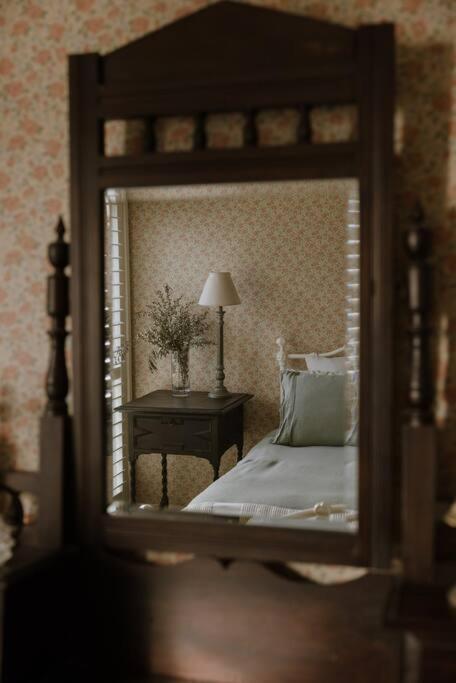 Amarela Haus - Calming Retreat Within Oceans Reach - Accommodation Southport 3