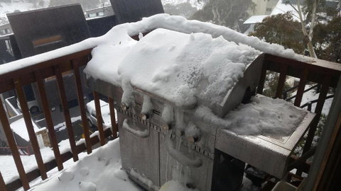 Aneeki Ski Lodge - Accommodation Southport 3