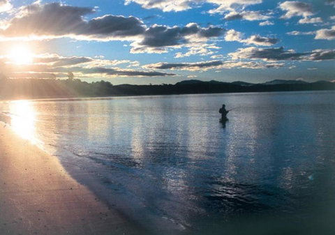 Aquarius Batehaven - Accommodation Southport 4