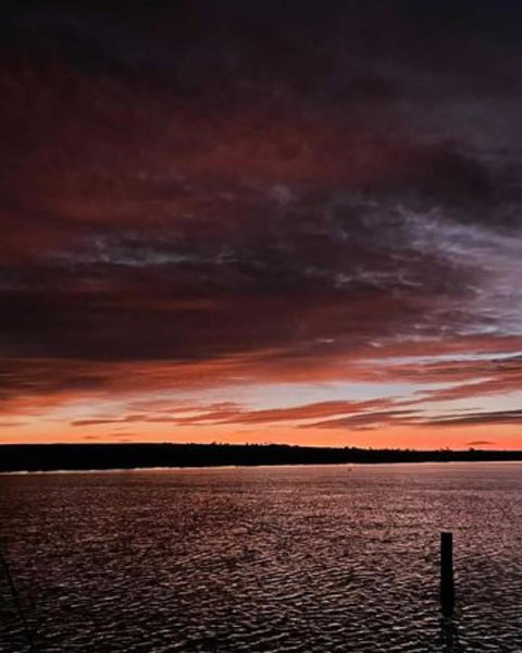 Ark-imedes - Unique Float Home On The Murray River - Accommodation Southport 4