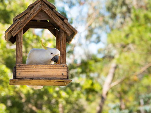 Ashling - Accommodation Southport 4