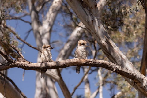 Avoca Cottages VICTORIA - Accommodation Southport 2