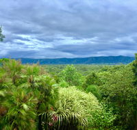 Daintree Manor BB - Southport Accommodation