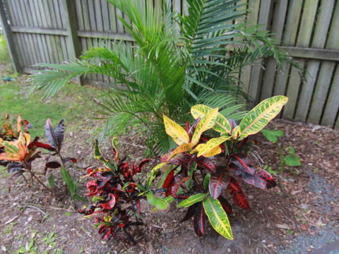 Beachside By Discover Stradbroke - Southport Accommodation 4