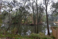 1 Private Single Room in Carramar 1-minute walk to Station - SHAREHOUSE