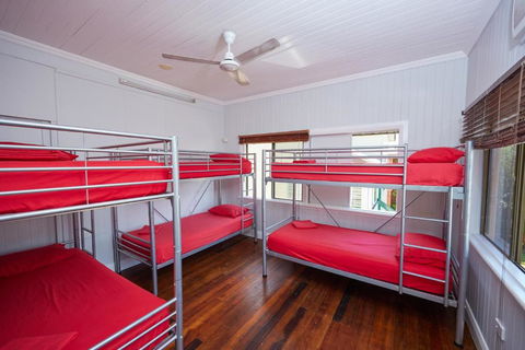Cairns City Backpackers Hostel - Southport Accommodation 2