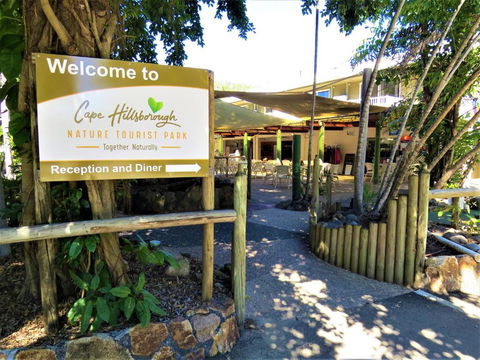 Cape Hillsborough Nature Tourist Park - Southport Accommodation 3
