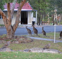 31 The Rocks - Accommodation Southport