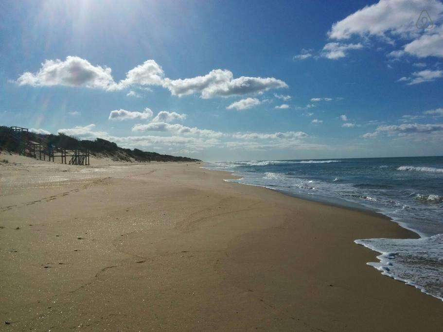 Seaspray ACT Southport Accommodation