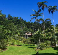 A Daintree Garden - Southport Accommodation