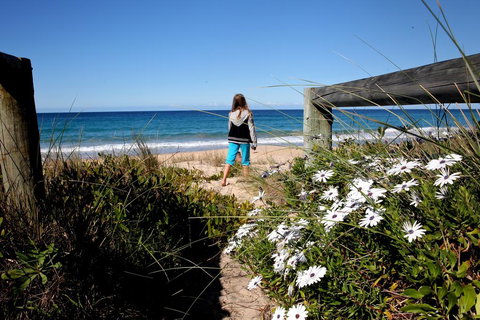 Absolute Beachfront Mollymook - Accommodation Southport 3