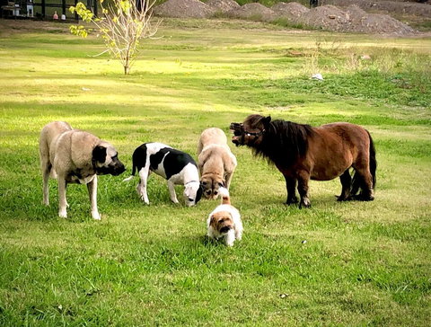 Absolute Riverfront Shipping Container Cabin - Accommodation Southport 2