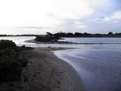 Absolute Waterfront - Southport Accommodation 1