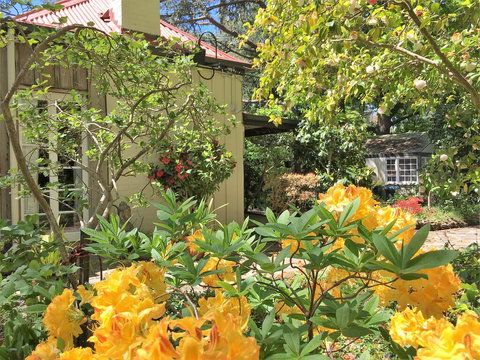 Adelaide Hills 'Camellia Cottage' - WiFi - Accommodation Southport 1