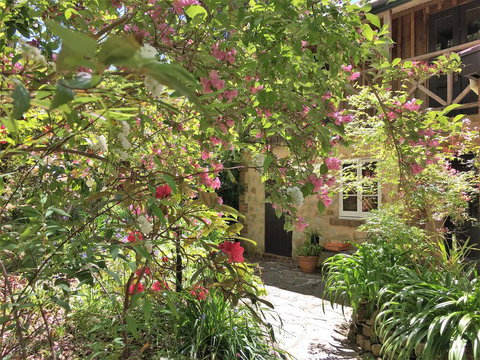 Adelaide Hills 'Camellia Cottage' - WiFi - Accommodation Southport 2