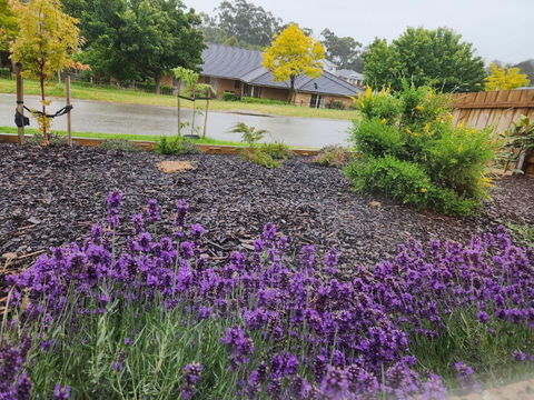 Getaway On Amaroo Way - Southport Accommodation 1