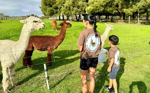 GORGE Chocolates Farmhouse - Accommodation Southport 4