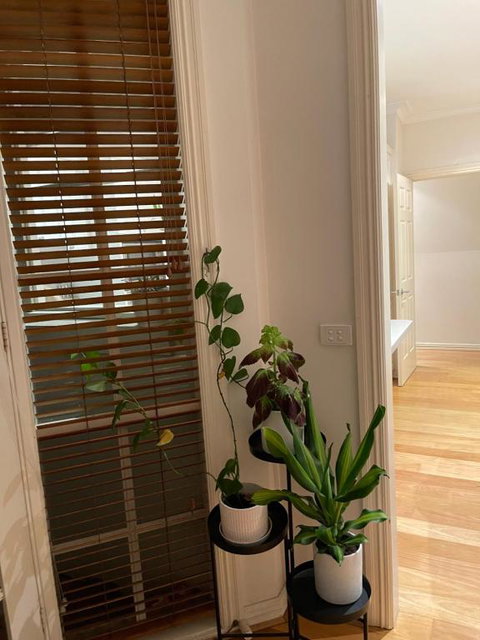 Hunter House - Southport Accommodation 0