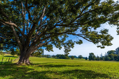 All About Me B & B - Accommodation Southport 2