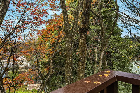 Allambee - Accommodation Southport 2