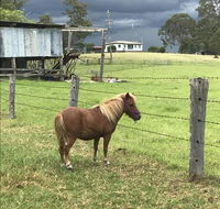 AMs Farm Stay - Southport Accommodation