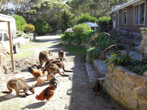 Anchorage Apartments - Accommodation Southport 0