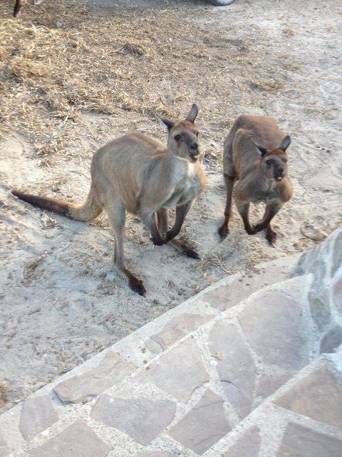 Anchorage Apartments - Accommodation Southport 1