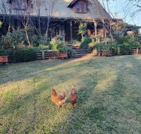 Angaston by the Winter Creek - Southport Accommodation