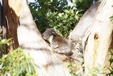 Apollo Panorama Guesthouse - Accommodation Southport 2