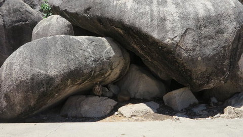 Arcadia Palms Unit 2 - Accommodation Southport 3