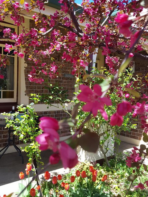 Arden On McLachlan - Accommodation Southport 3