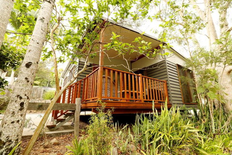 Mt Warning Rainforest Park - Accommodation Southport 1