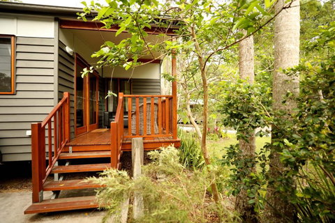 Mt Warning Rainforest Park - Accommodation Southport 0