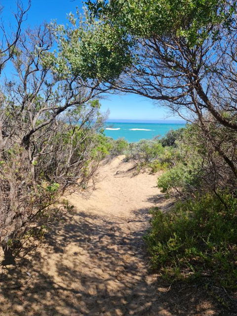 PIECE OF PARADISE, Huge 4 Bedroom Haven - Southport Accommodation 0