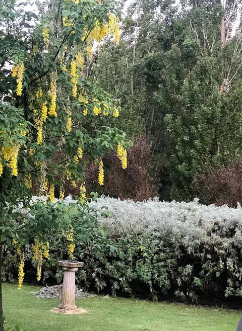 Pierrepoint Accommodation - Southport Accommodation 1