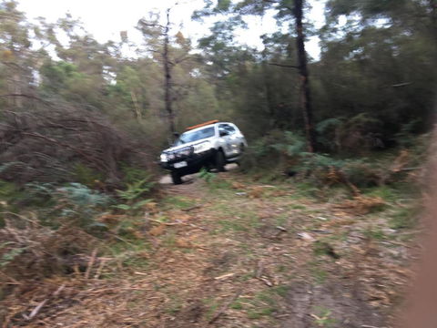 PNL4WDriving Bairnsdale Hub - Southport Accommodation 0