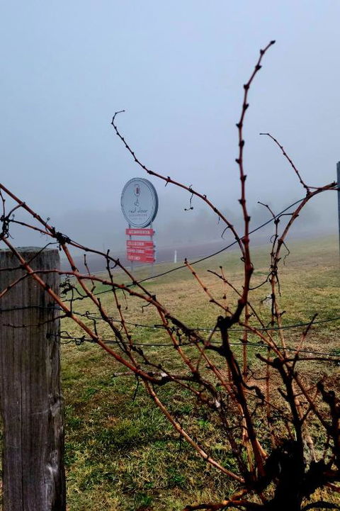 Red Door Collective - RDC Vineyard Estate, Luxury Adult Only Stay - Accommodation Southport 3