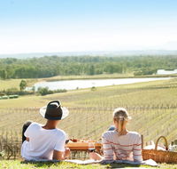 Audrey Wilkinson Vineyard - Southport Accommodation