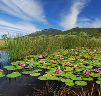 Barrington Hideaway- River Cottages - Accommodation Southport