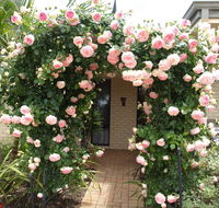 Baudins of Busselton Bed and Breakfast - Southport Accommodation
