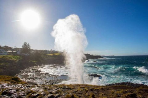 SALTY SOUL KIAMA - Tiny House By The Ocean - Southport Accommodation 3