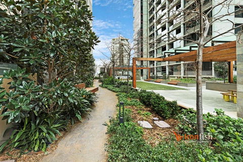 Sakura Apartment - Southport Accommodation 3