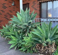 Beautiful Bedroom in Bentleigh East - Southport Accommodation