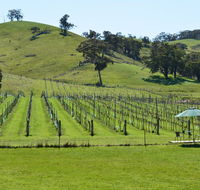 Blue House at Mountainside Wines - Southport Accommodation