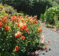 Boat Harbour Garden Cottages - Southport Accommodation