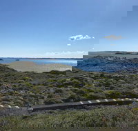 Penguin Island And Fremantle - Canoe Chocolate  Coffee - Accommodation Southport