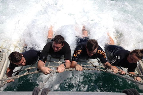 Cruise In Moreton Bay Marine Park And Moreton Island - Southport Accommodation 0