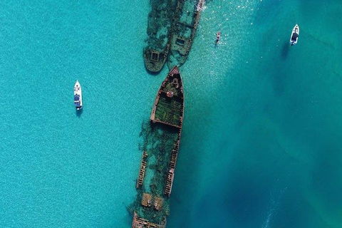 Cruise In Moreton Bay Marine Park And Moreton Island - Southport Accommodation 1