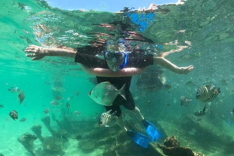 Cruise In Moreton Bay Marine Park And Moreton Island - Southport Accommodation 5