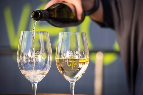 Full Day Tamar Valley Wine Tour - Southport Accommodation 2